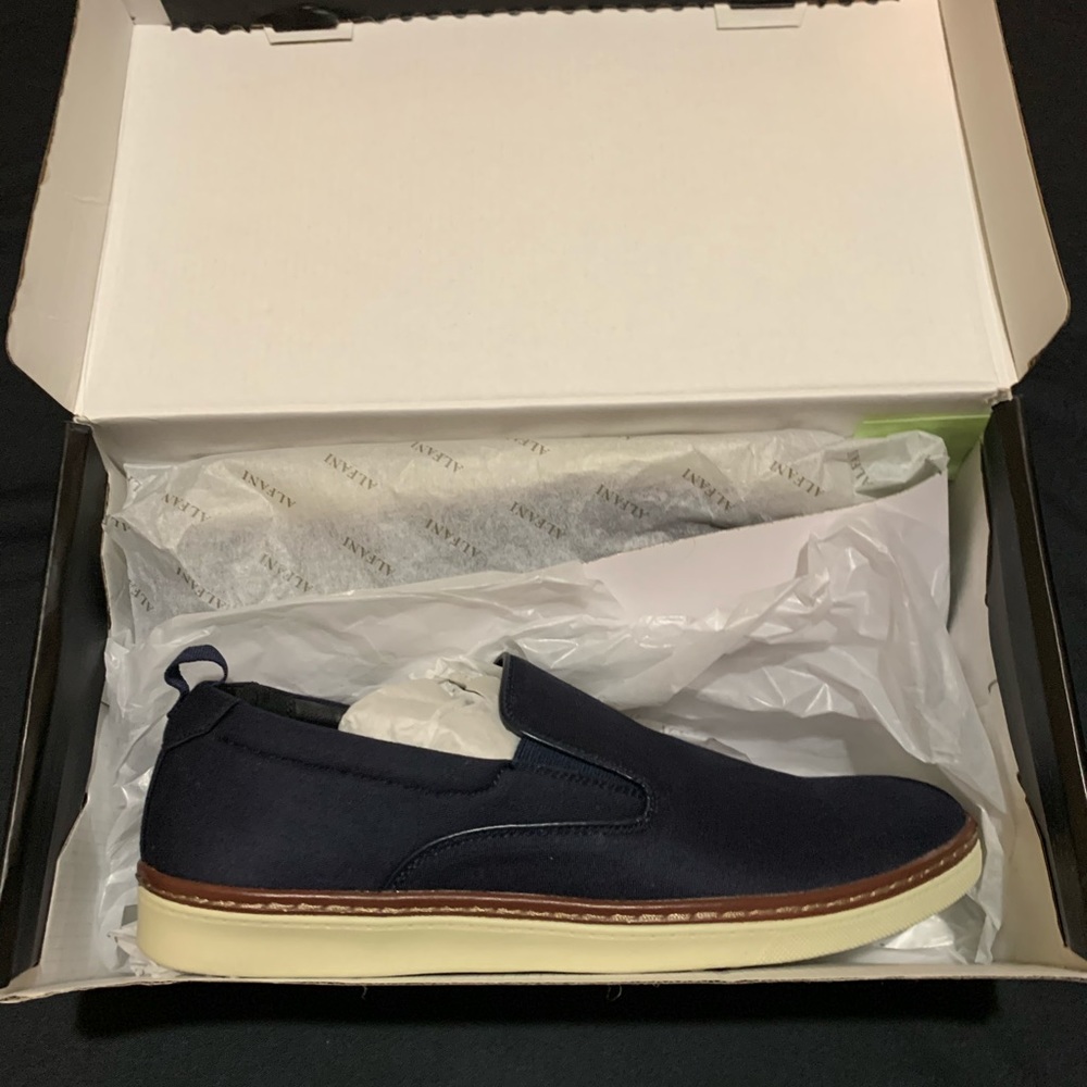 Alfani Shoes